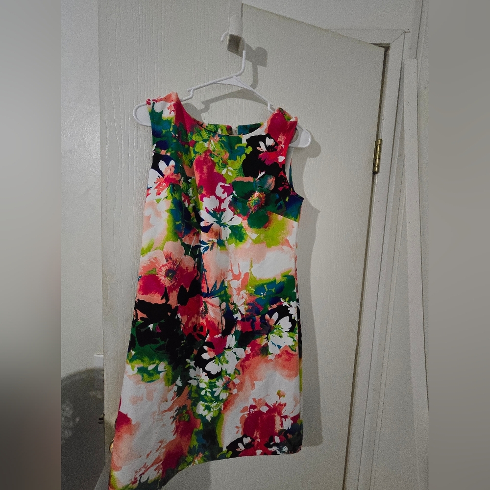 Small Worthington Pink and Green Etc.  Dress Sleeveless Scoop Neck Zips In Back